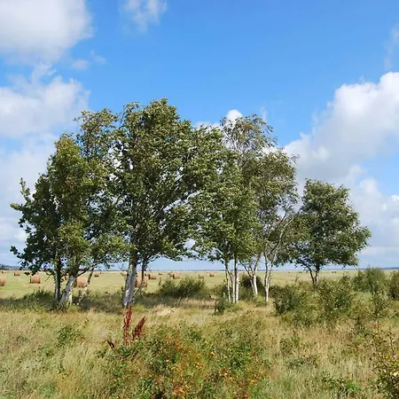 Hiddensee Hitthim Szálloda 3*