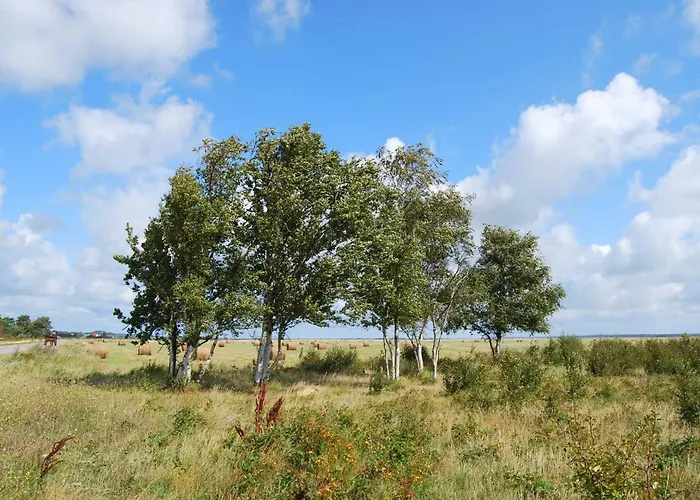 Hiddensee Hitthim Otel 3*